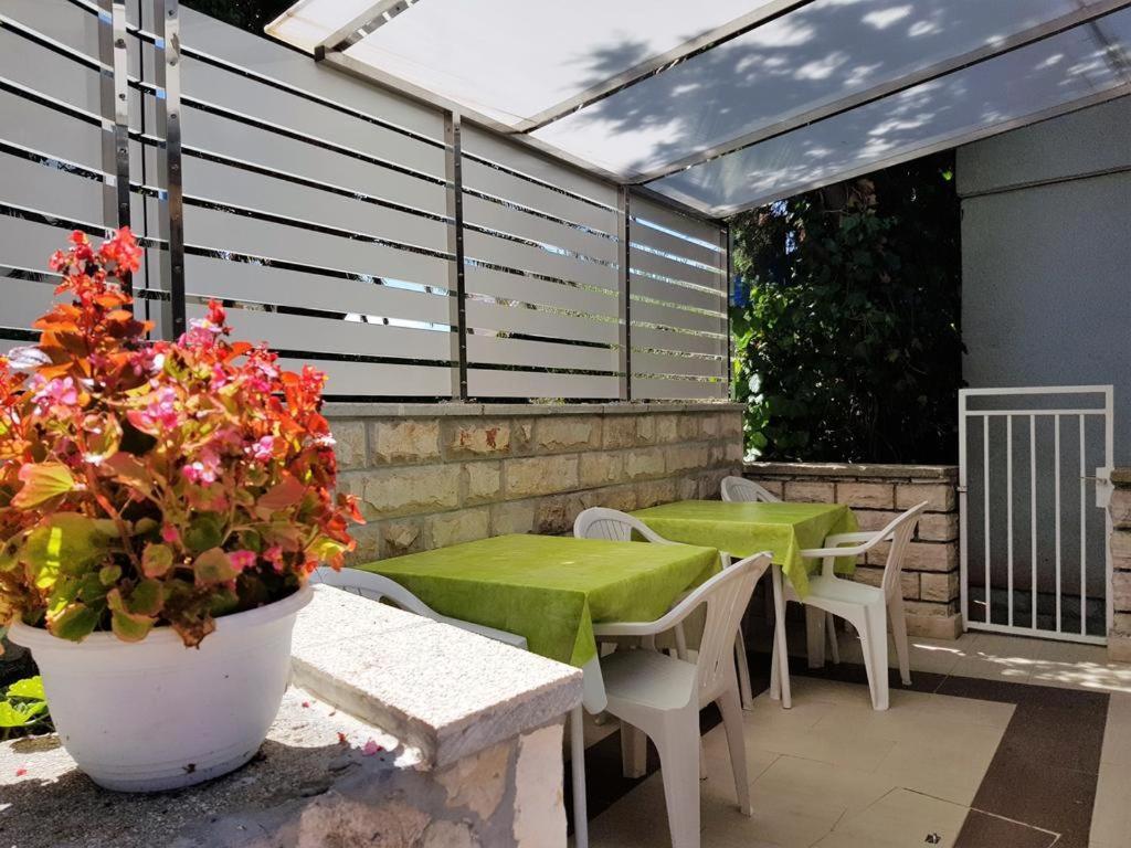 Rooms Magnolia With Pool Novalja Exterior photo